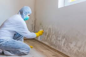 Best Crawl Space Mold Remediation  in USA